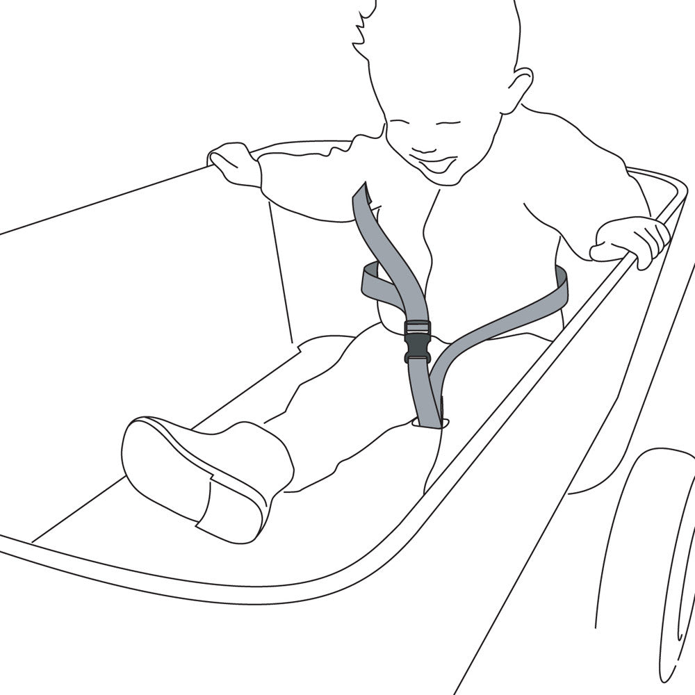 Kids Wagon / Safety Belt